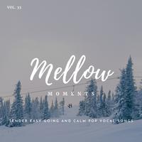 Mellow Moments - Tender Easy Going And Calm Pop Vocal Songs, Vol. 35