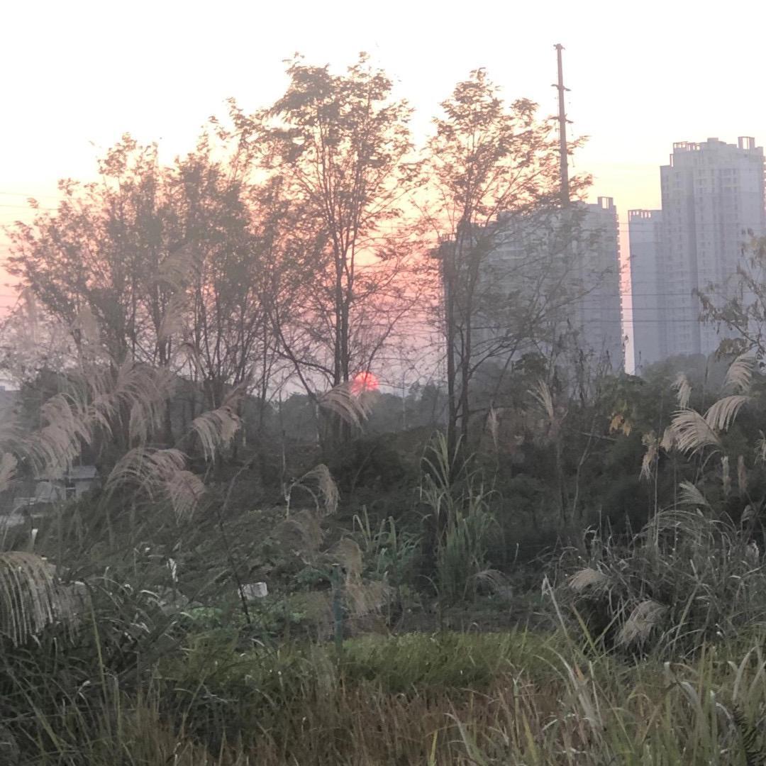 漫话（翻自 W8VES）