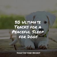 50 Ultimate Tracks for a Peaceful Sleep for Dogs