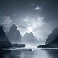 落叶生根