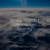 Spring Sounds | Ultimate Spa Serenity