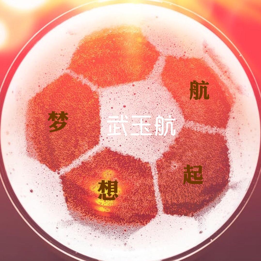 梦想起航(纯音乐)封面