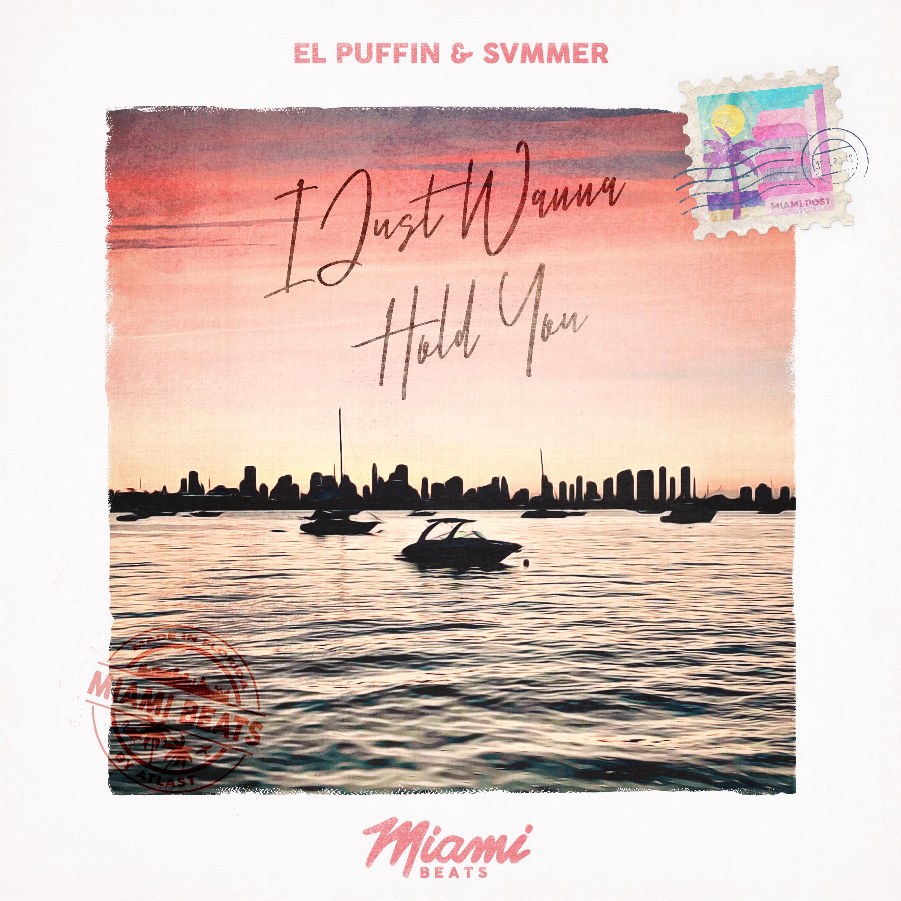 I Just Wanna Hold You