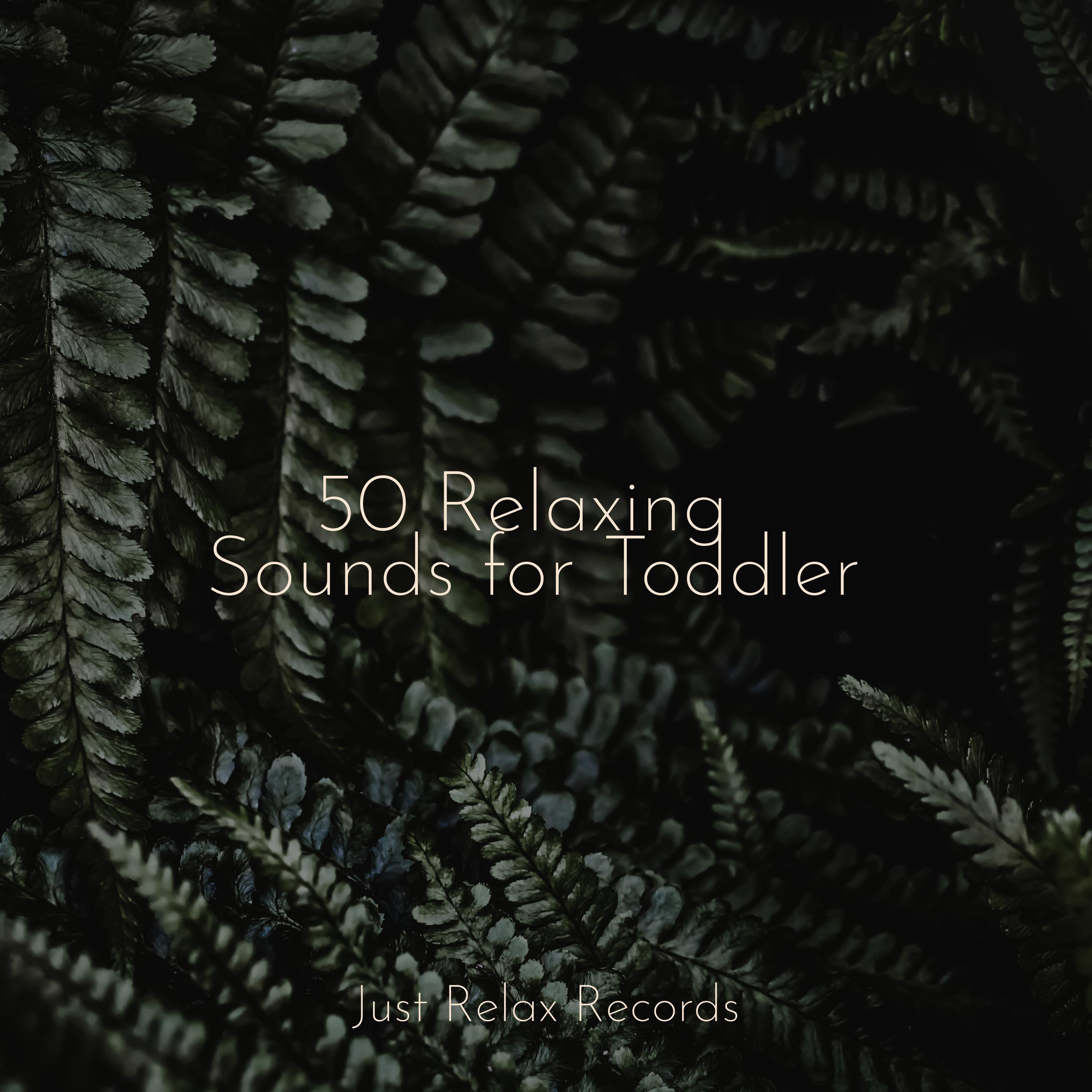 50 Relaxing Sounds for Toddler Music For Absolute Sleep 专辑 网易云音乐