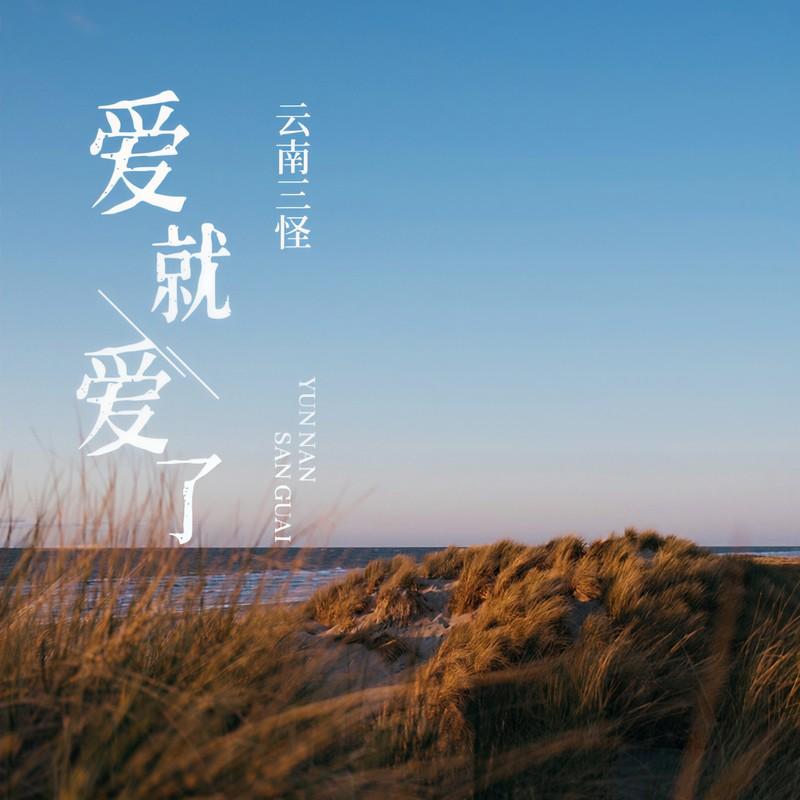 爱就爱了封面