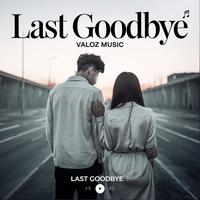 Last Goodbye