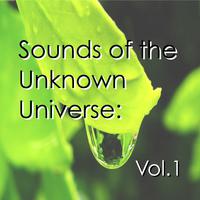 Sounds of the Unknown Universe: Vol.1