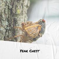 Year Chest