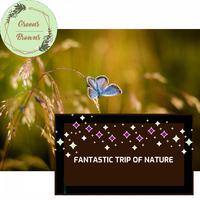 Fantastic Trip of Nature