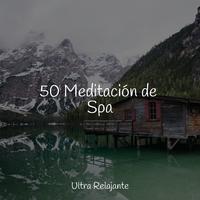 50 Meditación de Spa