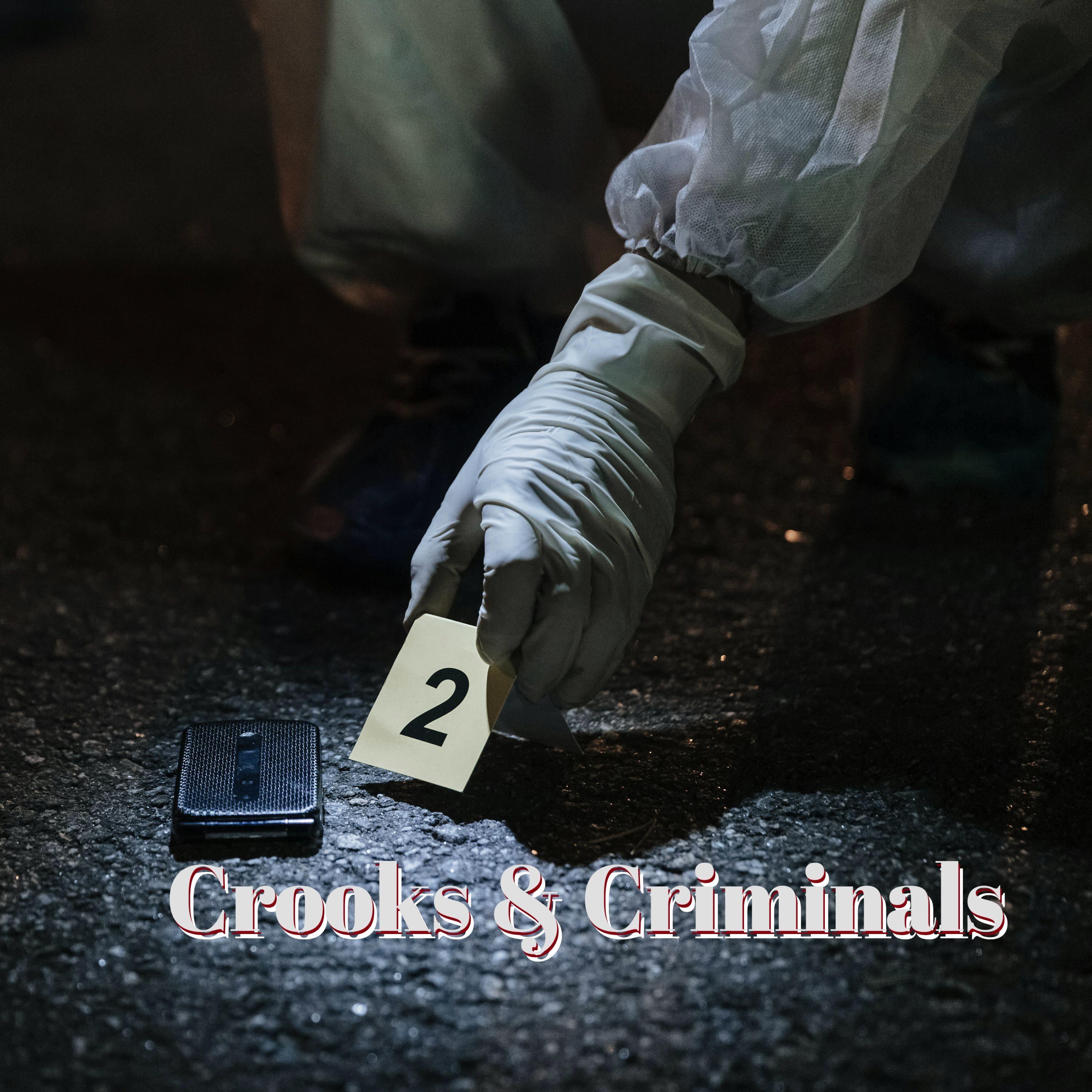 Crooks & Criminals