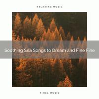 2020 Best: Soothing Sea Songs to Dream and Fine Fine