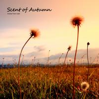 Scent of Autumn