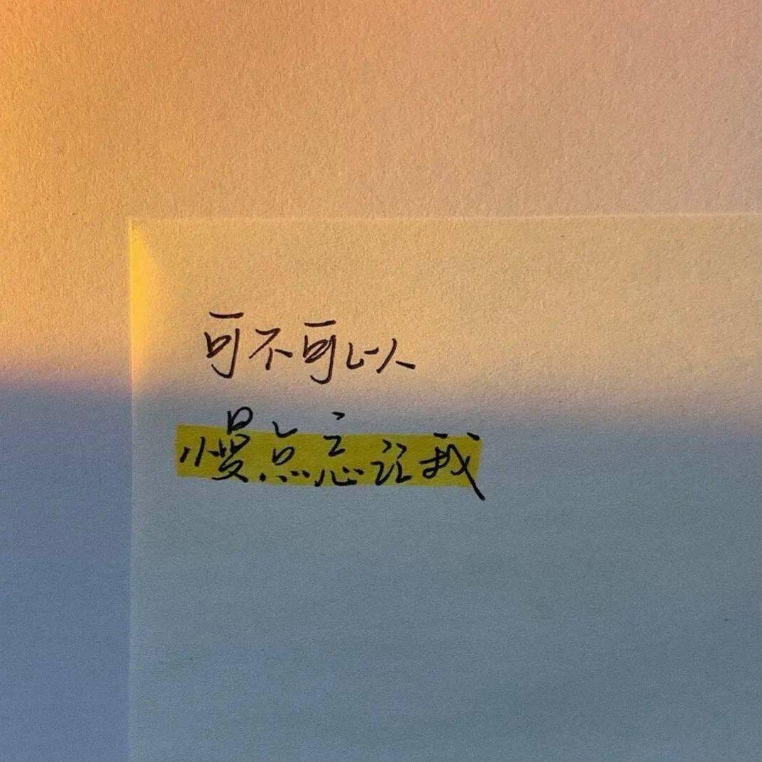 阿拉斯加的海湾（0.8x）封面