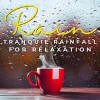 Rain's Serene Harmony: Tranquil Rainfall for Relaxation