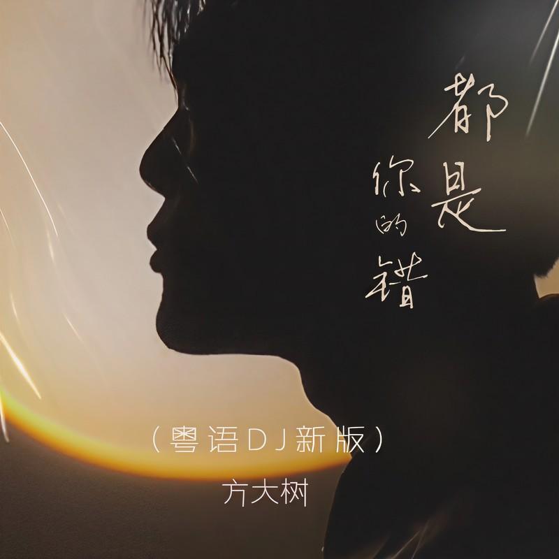 都是你的错 (粤语DJ新版)封面