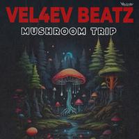 Mushroom Trip