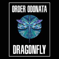 Order Odonata - Beyond the Looking Glass