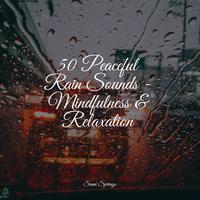 50 Peaceful Rain Sounds - Mindfulness & Relaxation