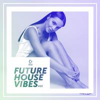 Future House Vibes, Vol. 23