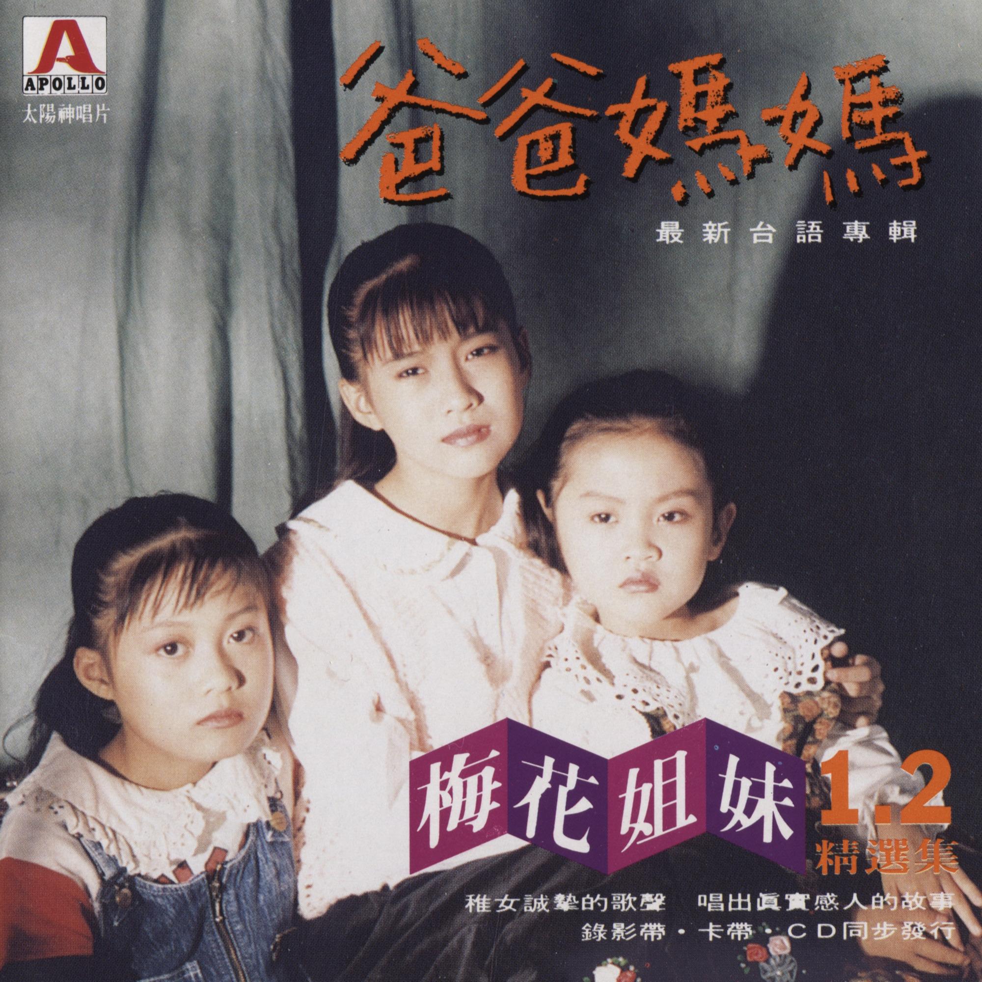 勇敢三姊妹封面