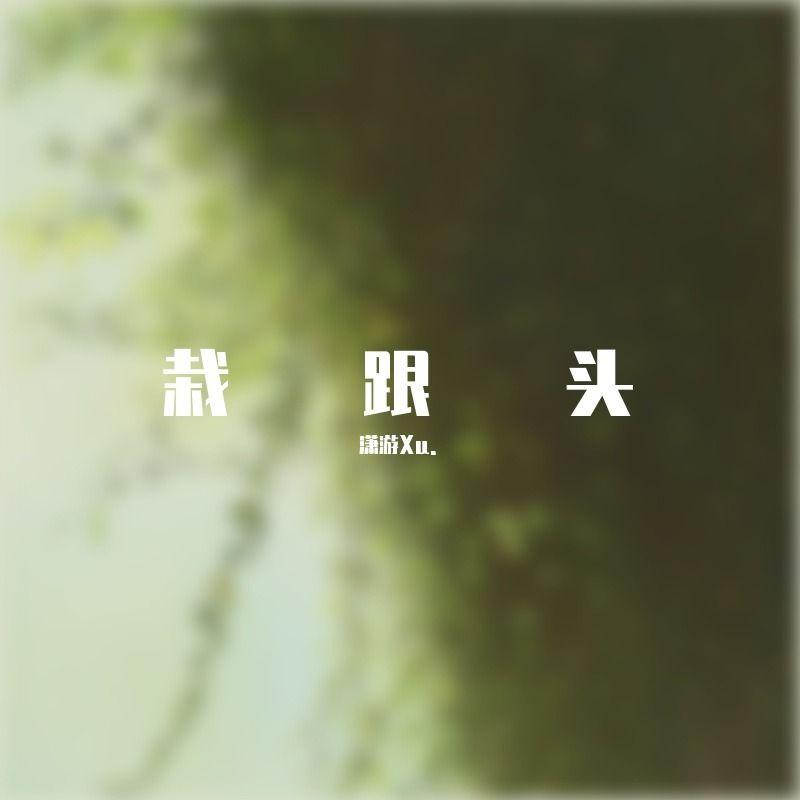 栽跟头.封面