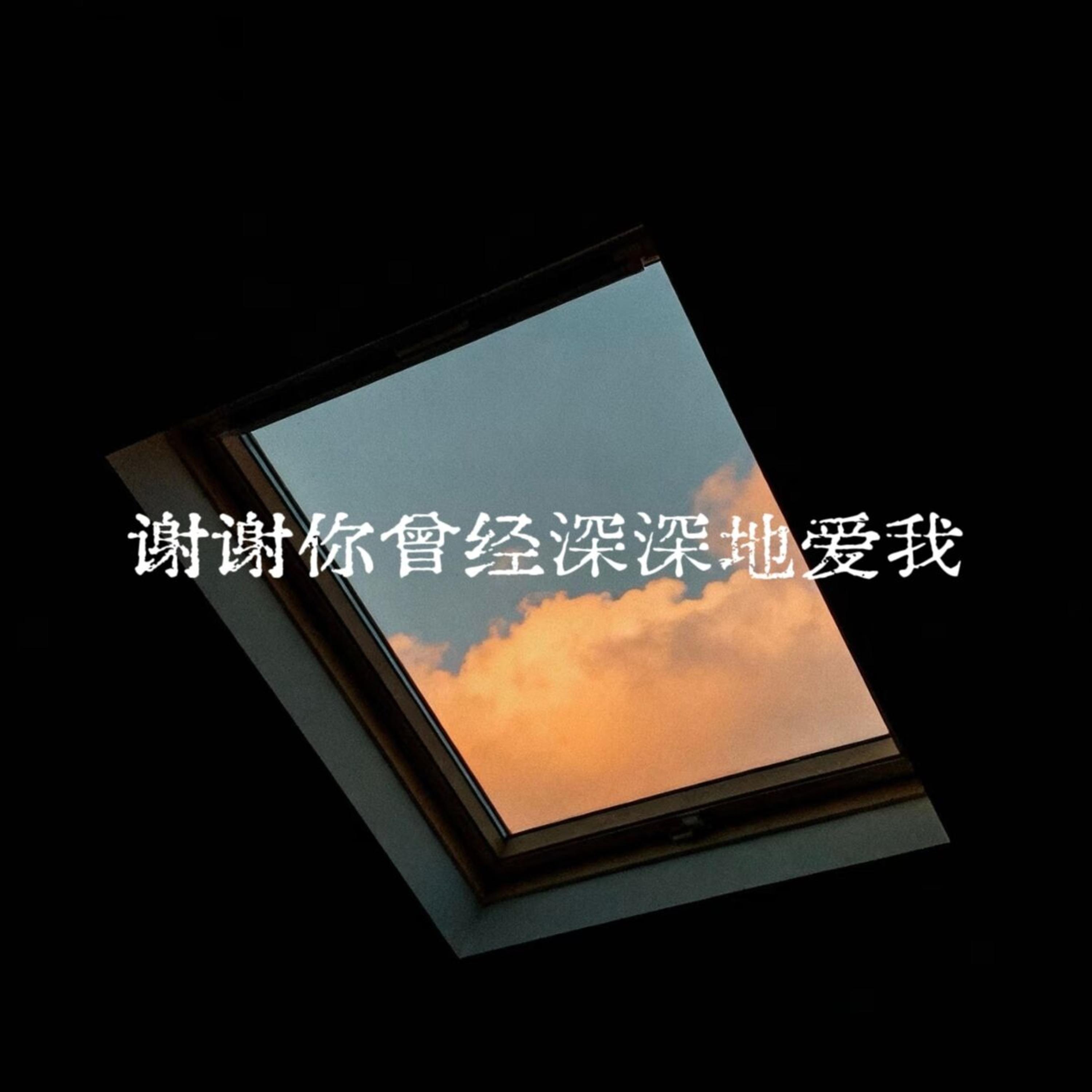 谢谢你曾经深深的爱我封面