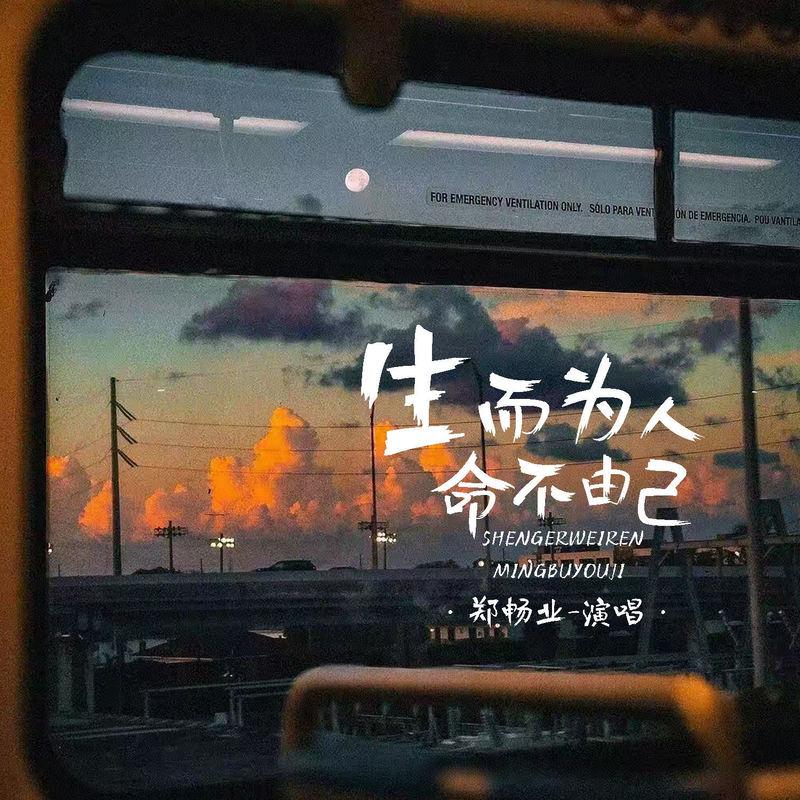生而为人命不由己 (伴奏) - 郑畅业封面