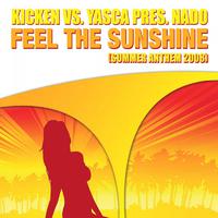 Feel The Sunshine (Summer Anthem 2008)