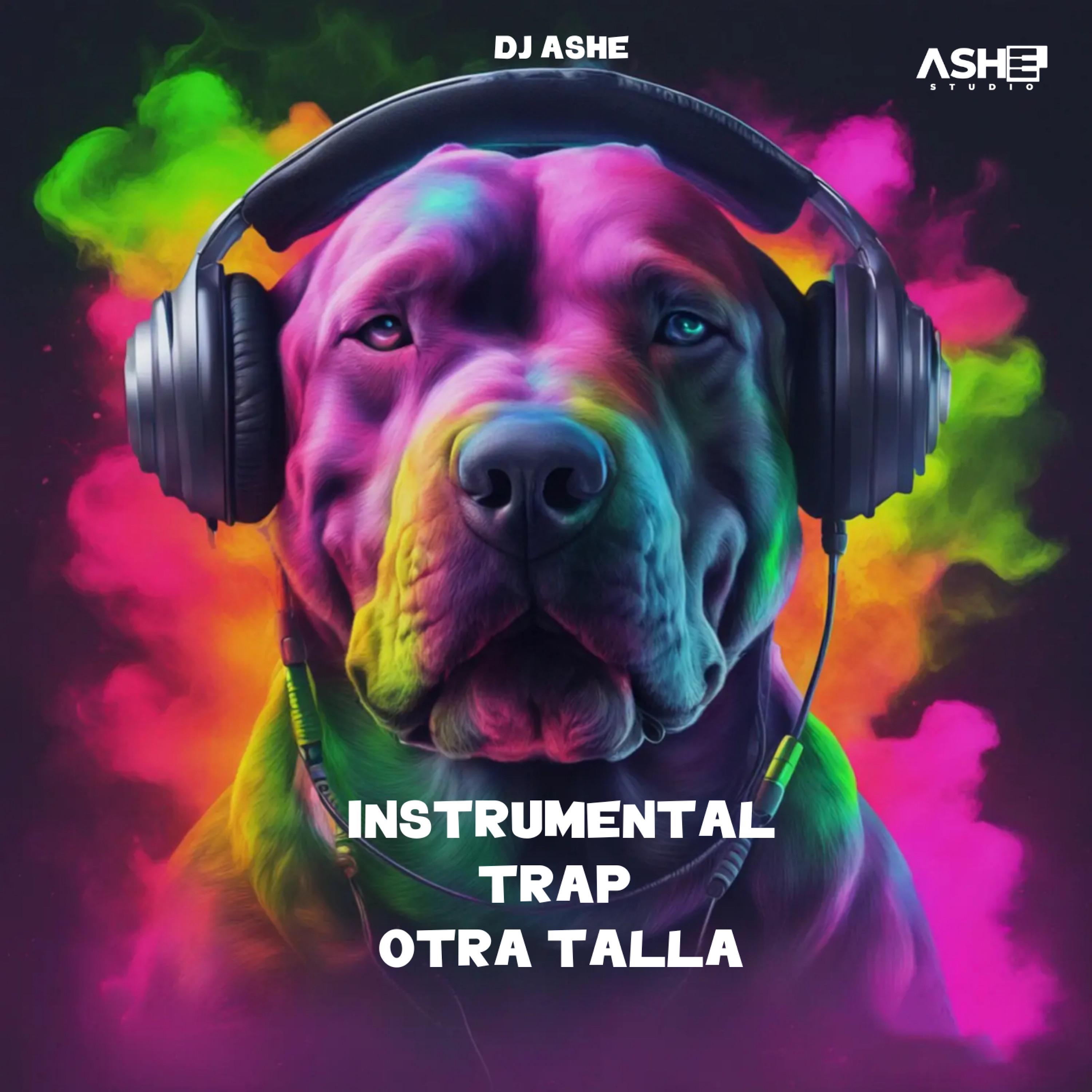 Instrumental Trap Otra Talla