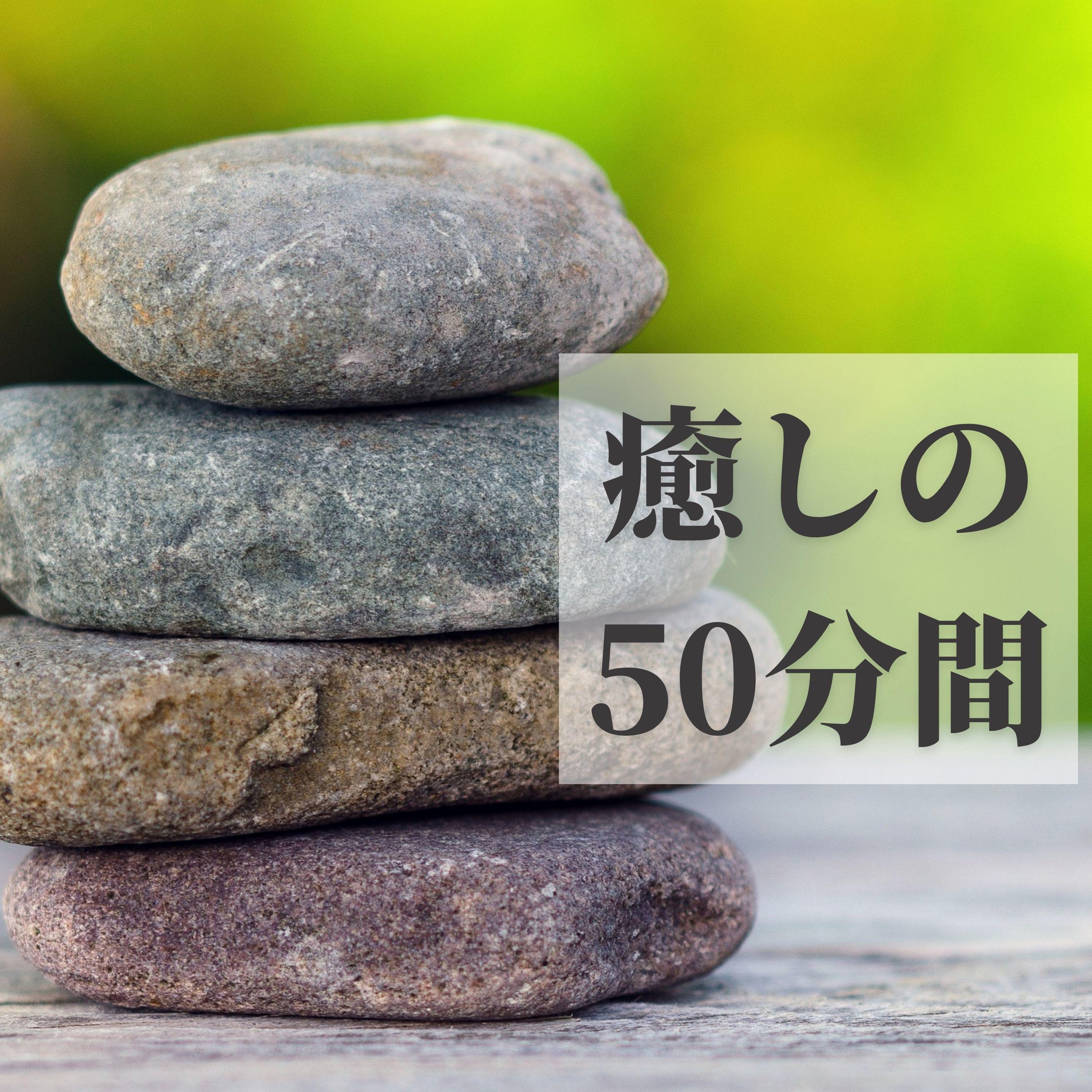 消化封面