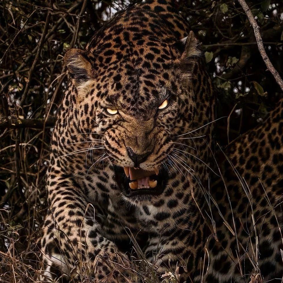 В экстазе (Remix)