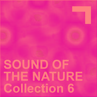 Sound Of The Nature – Collection 6