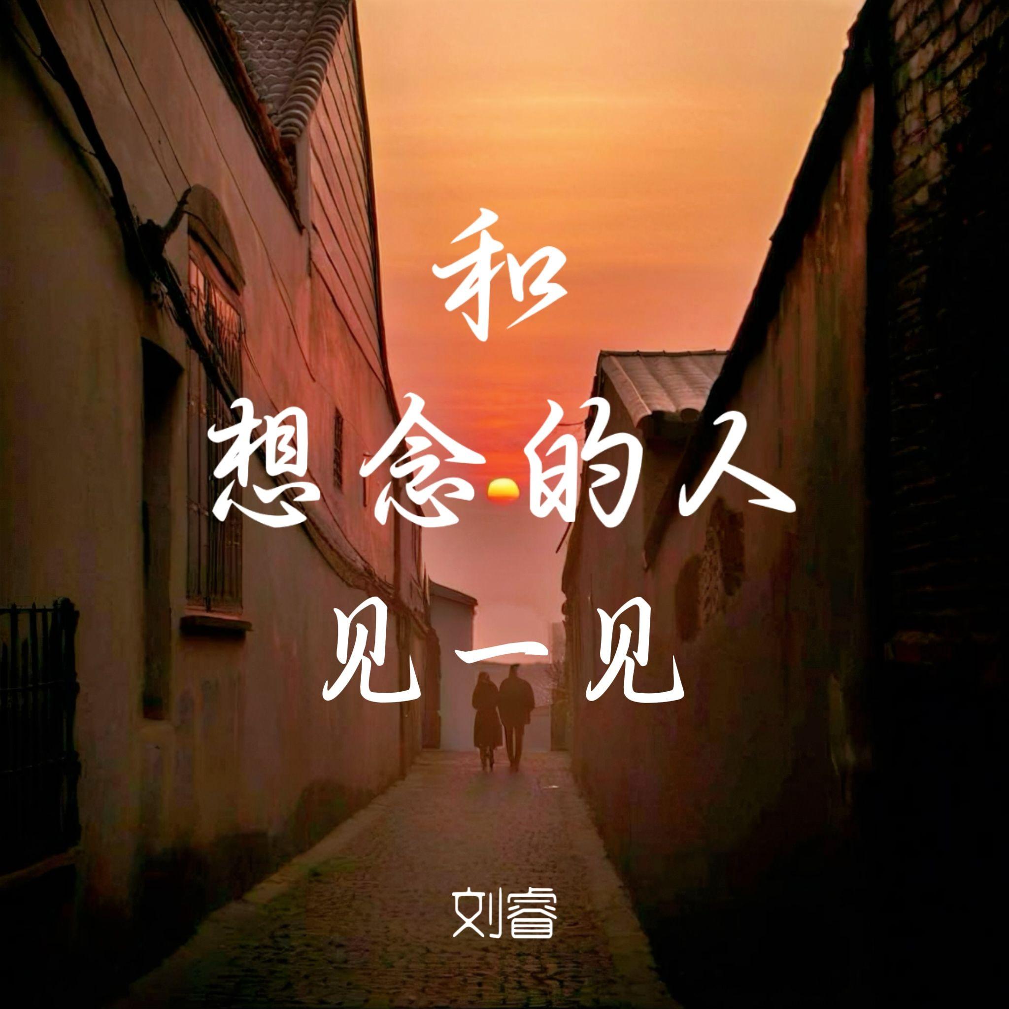 和想念的人见一见 (伴奏)