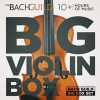 Big Violin Box