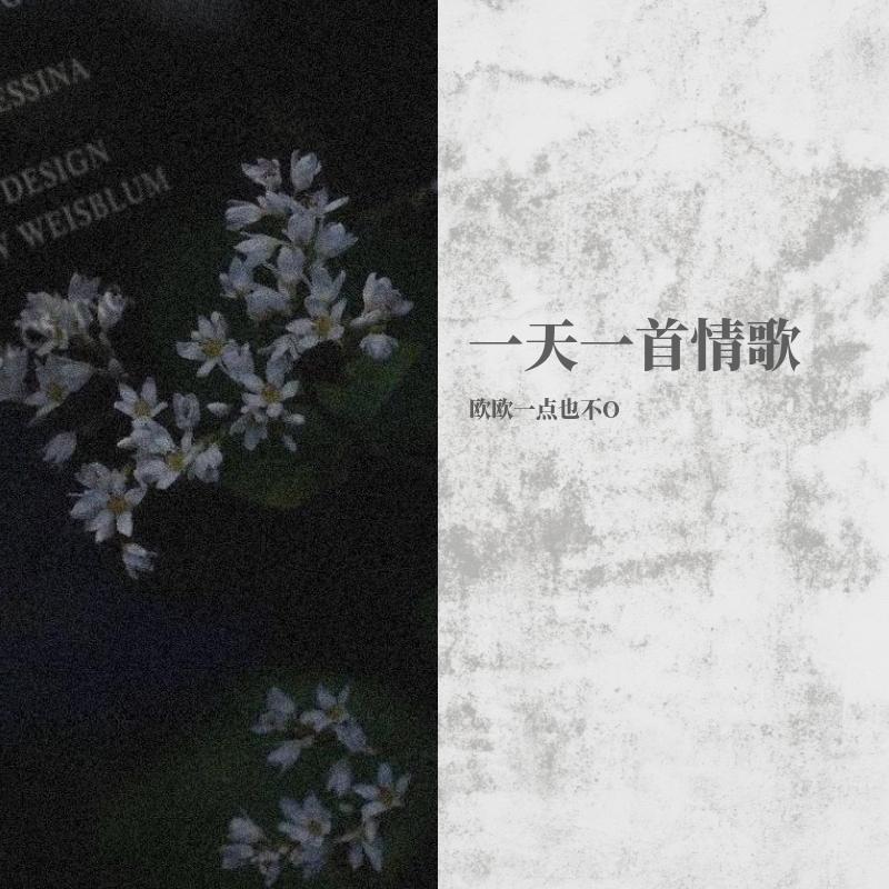落日与鲸封面