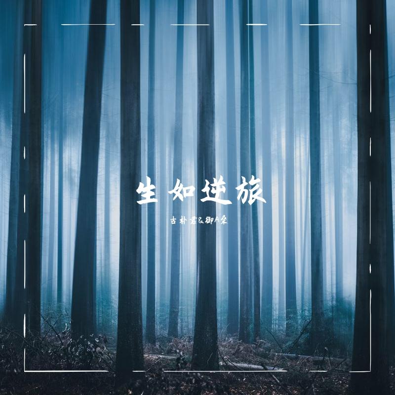 生如逆旅封面