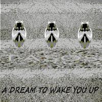 A Dream to Wake You Up