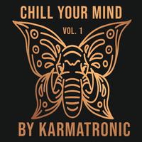 Chill Your Mind, Vol. 1