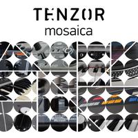 Tenzor