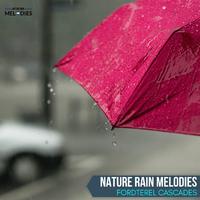 Nature Rain Melodies - Fordterel Cascades