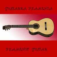 Guitarra Flamenca