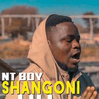 Nt Boy