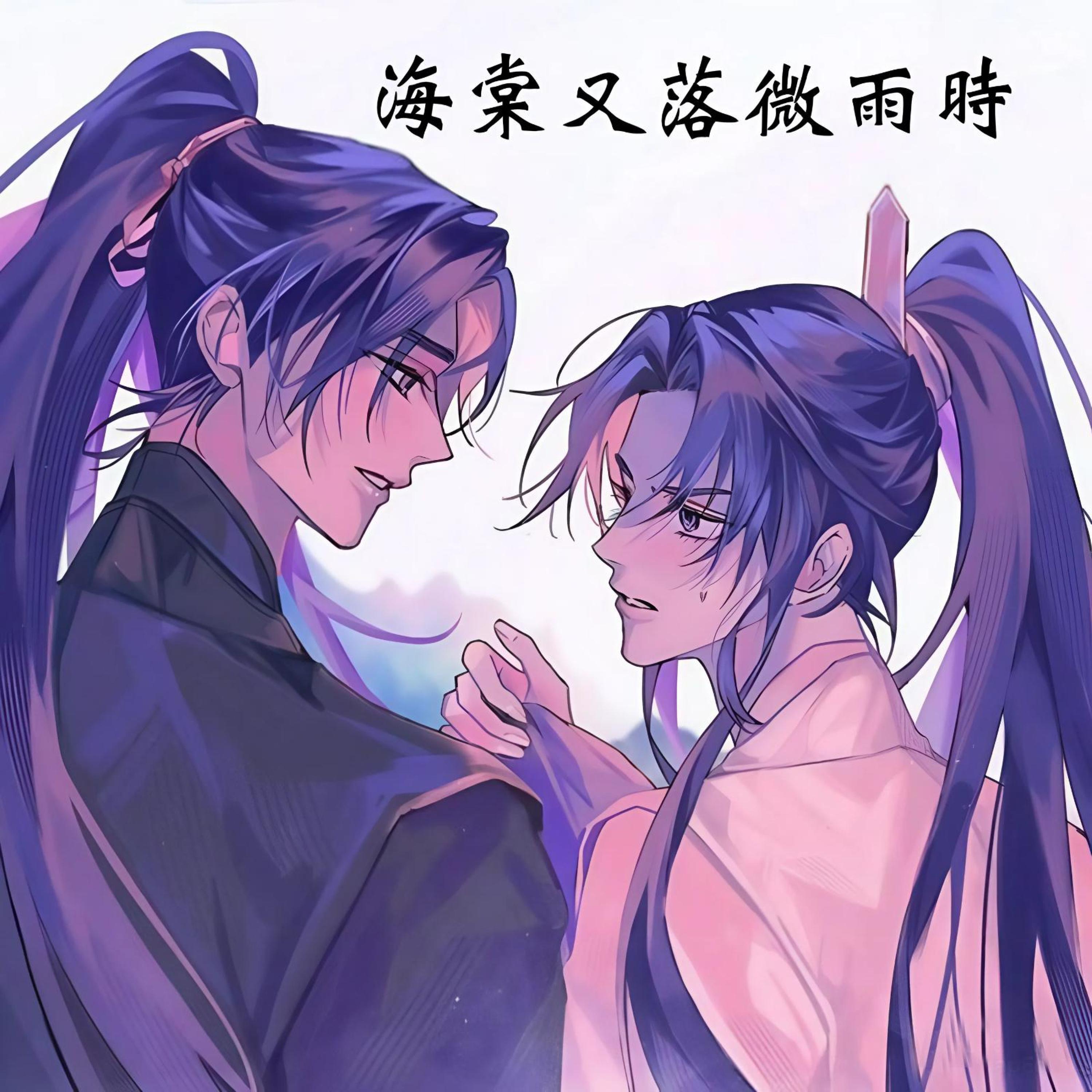 海棠又落微雨時封面