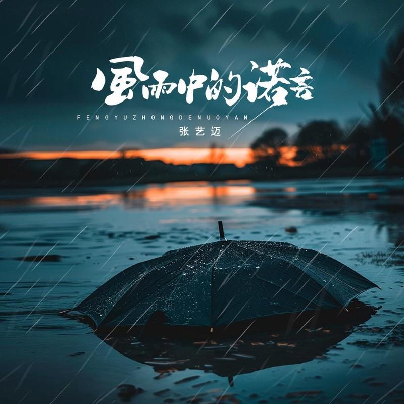 风雨中的诺言(DJ版)封面