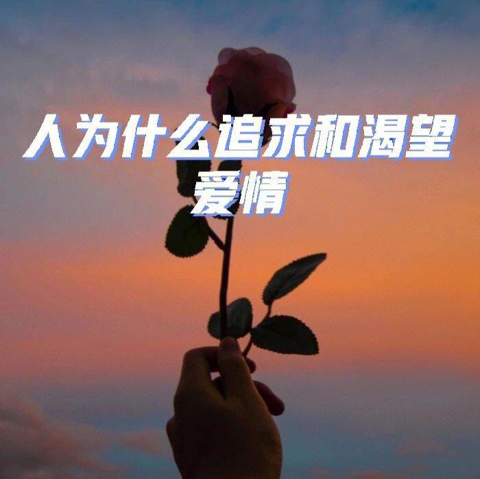 追求 - 封银沙封面