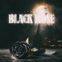 Black Rose