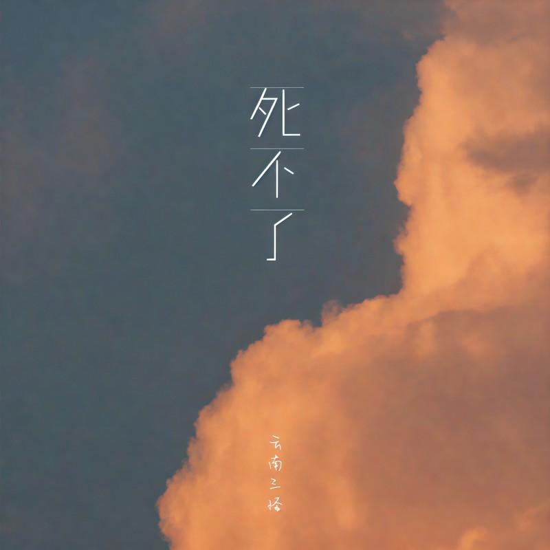 死不了封面
