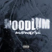 HOODLUM 无耻之徒