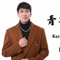 Kaysar Abdukerim资料,Kaysar Abdukerim最新歌曲,Kaysar AbdukerimMV视频,Kaysar Abdukerim音乐专辑,Kaysar Abdukerim好听的歌